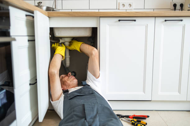 Best Commercial Plumbing Services  in East Ithaca, NY